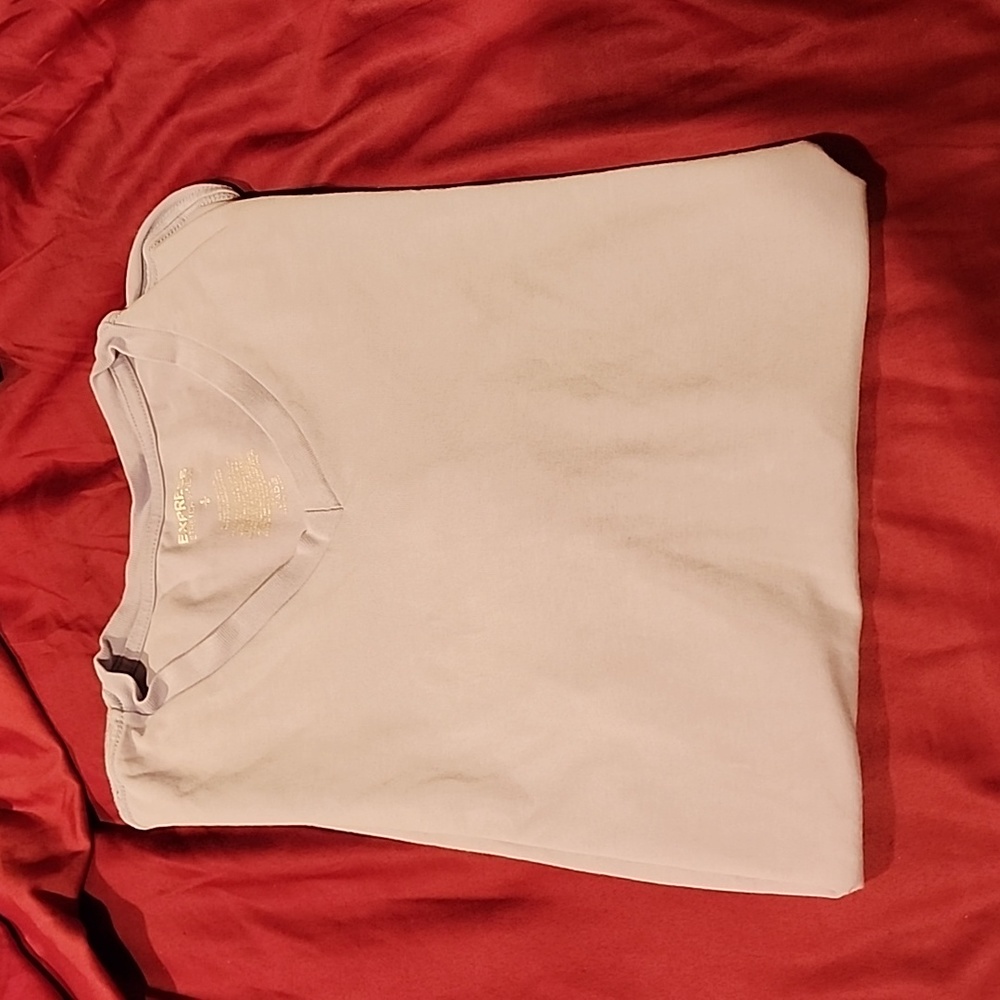 Express v neck fitted tee shirt